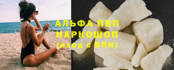спайс Алзамай