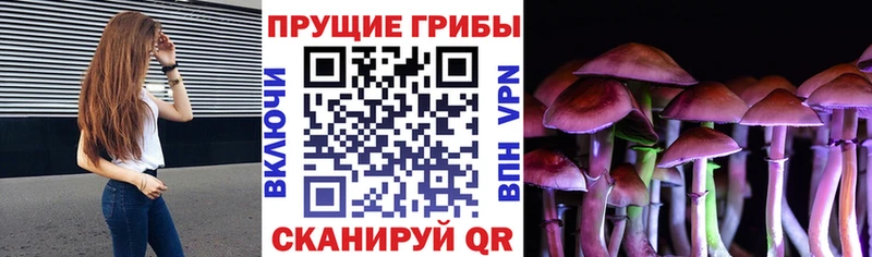 kraken сайт  где купить   Нижний Тагил  Псилоцибиновые грибы MAGIC MUSHROOMS 